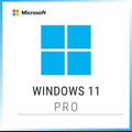 Windows 11 Pro Product Activation Code Add New Features Upgrade / Activate Windows 11 Pro